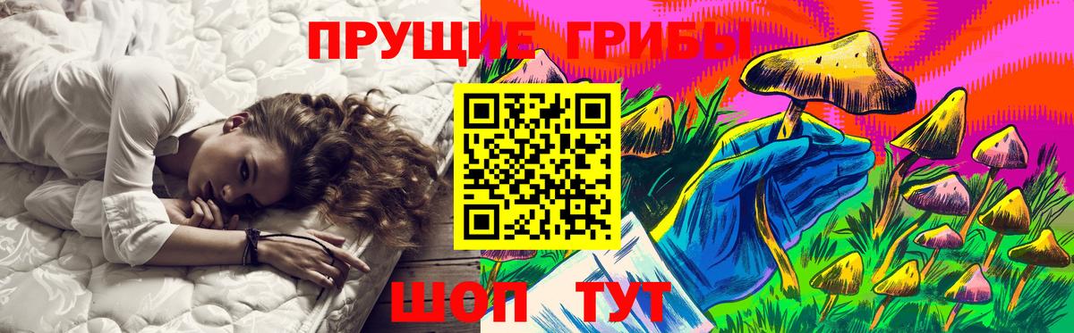 Псилоцибиновые грибы прущие грибы  Псилоцибиновые грибы Magic Shrooms  Будённовск  Вход с VPN 