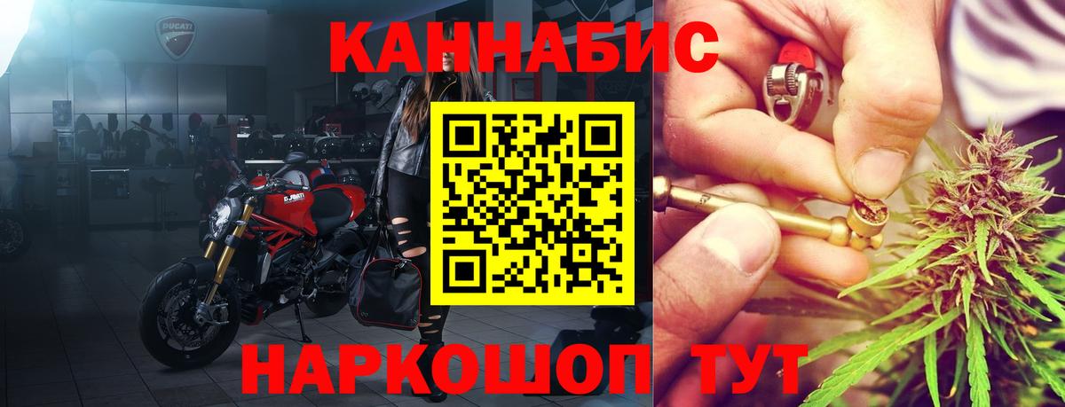 Шишки марихуана план Будённовск